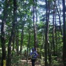 암곡 왕산 | 동대봉산 (무장봉)억새산행