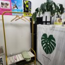 라인에너지 | 💪 만성 통증 해방! 익산라인테라피, 익산체형관리 에너지테라피 후기