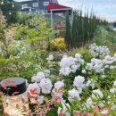 토끼집스테이 이미지