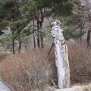 환경문화전시장 이미지