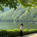 장계 | [여행](옥천) 장계관광지 아이와 가볼만한 곳 주차장 및 입장료 후기