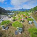 영수목장 | 양평 수목장의 역사와 장기 운영의 안정성