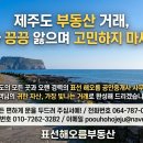 표선공인중개사사무소 네이버블로그