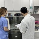 부산 리브동물의료센터 이미지