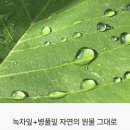라비앙뷰티;화장품