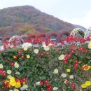 재인폭포와 두루미 이미지