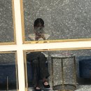 보타닉파크웨딩 | W.01 •• 강서구 보타닉파크웨딩 :: 상담후기 견적공유(계약O)