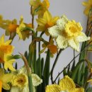 뜨개질지도사 이미지