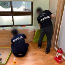 사상초등학교병설유치원 이미지