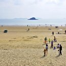 퍼플 - 전주시 완산구 | 퍼플