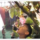 대기초등학교 이미지