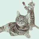 고대1114 이미지