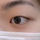 보리네 | 자양동속눈썹 펌 두 달에 한 번씩 꾸준히 방문중인 보리네눈썹가게 후기