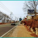 매전농협주유소 Daum카페