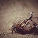 달리는마차 이미지