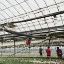 서해대학교 이미지