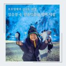 호호형제의 최고 겨울 여행지 얼음왕국 청송 얼음골 아이스클라이밍 대회 체험