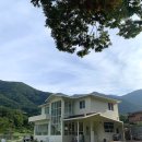 내서읍368 | [마산내서 애견카페] 포둥포둥 🐶