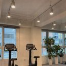 위너블 피티 앤 필라 이미지