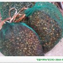 구술농장 이미지