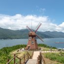 바람의 언덕 이미지