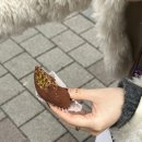 썬마이야르