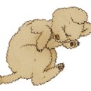 한국애견용품연구소 이미지