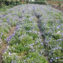 동명슈퍼 이미지