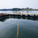 안면도바다풍경 | 안면도 태안 좌대낚시 [오형제낚시] 갑오징어, 쭈꾸미 조항 후기