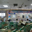 해달안경콘택트 이미지