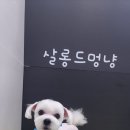 깍고밀고이발 이미지