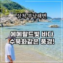 사람 없는 맑은 바다 찾는다면? 삼척 부남해변! 민박·캠핑·샤워실 정보까지