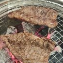 돼지랑한판승부 이미지