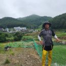 독자골농장 네이버블로그