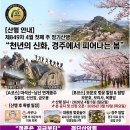 제849차(년12차)정기산행:경주 마석산과 남산 연계산행 및 보문호 벚꽃 [2026년 4월 5일.日.04시 30분] 이미지