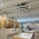 인터넷Cafe | 3F CAFE 신촌카페: 신촌카공카페 추천 (내돈내산 후기)