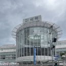 남양주 힐링별밤수목원캠핑장 생애 처음 우중 백패킹, A사이트 후기