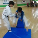 호랑이태권도 이미지