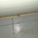 큐리농장 이미지