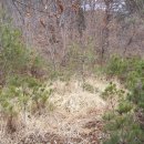 하죽마을 이미지