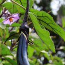 백학저수지 이미지