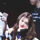 다도연