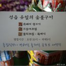돼지마을숯불구이 이미지