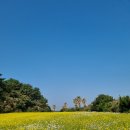 산성95~96, 99 | [4월 11일] 대전시청 인근 금요일 저녁 12:12 로테이션 소개팅 후기 (4커플 탄생)