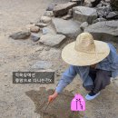 전통차 예절과 다식 | [선암사 템플스테이 후기] 순천 선암사에서의 1박 2일 휴식