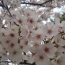 비양도모텔 이미지