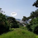 창원 주의수 묘 이미지