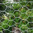 여명약국 이미지