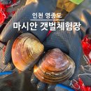영종도 마시안 갯벌체험 2026 물때 갯벌마차 꿀팁 대기시간