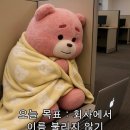 동글타코 이미지
